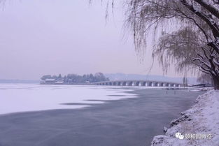 北京初雪宛如水墨画卷! 你怎能不期待这份美景?