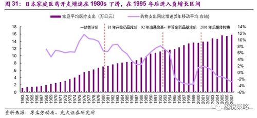 美国今年翻倍股票，机遇与风险并存的投资景观